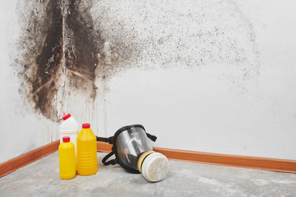 Dayton, WA Mold Removal Company