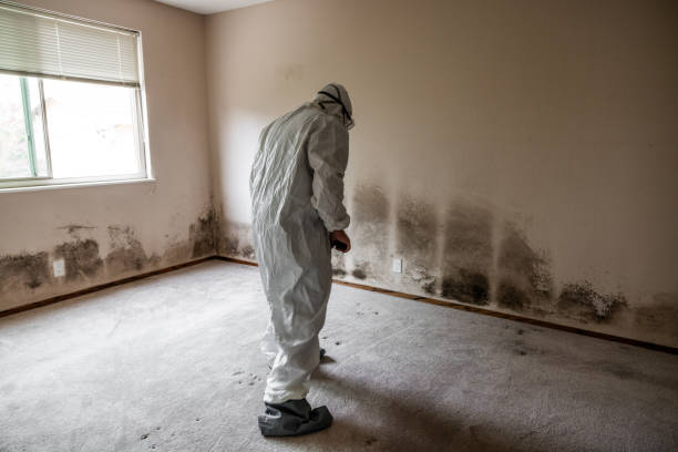 Best Residential Mold Removal  in Dayton, WA